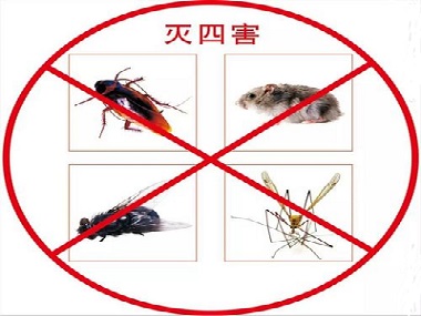 里水虫害防治所为什么要定期虫害防治、杀虫灭鼠