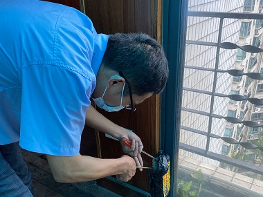 佛山白蚁备案所——正确的灭蚁方式是什么？