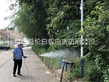 桂城登革热防控消杀工程