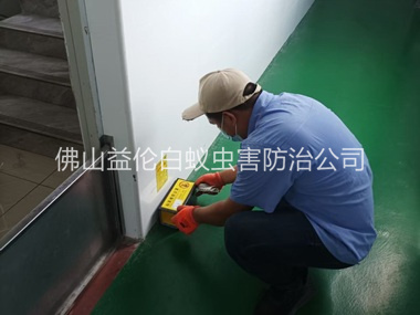 南海工厂车间室内布置粘鼠板工程