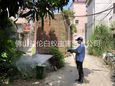 西樵村庄灭蚊预防 “两热”工程